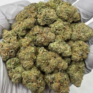 Purple Kush THCa Flower deep purple buds covered in trichomes
