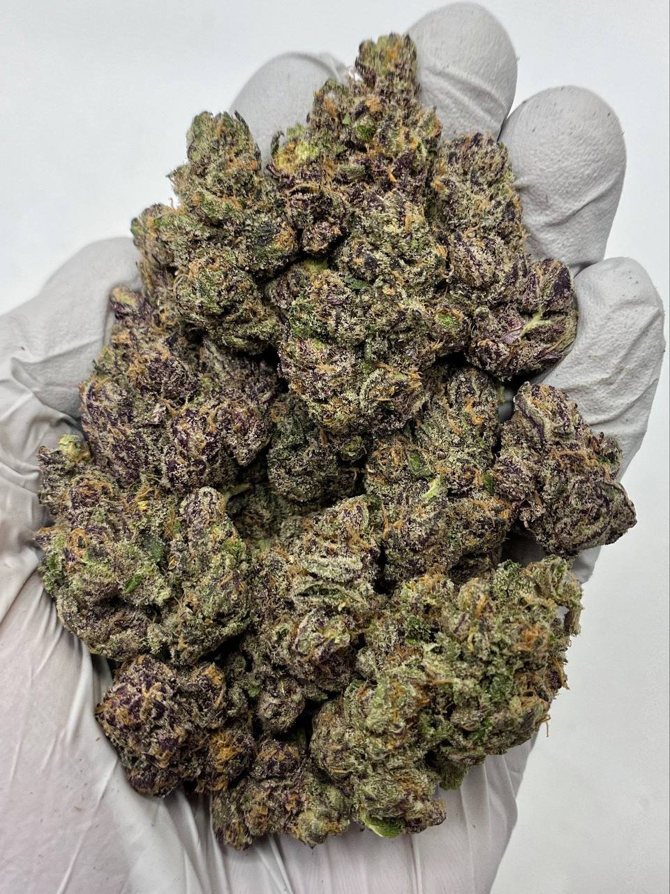 Rainbow Zangria THCa Flower 1 Rainbow Zangria THCa Flower buds with vibrant purples and frosty trichomes