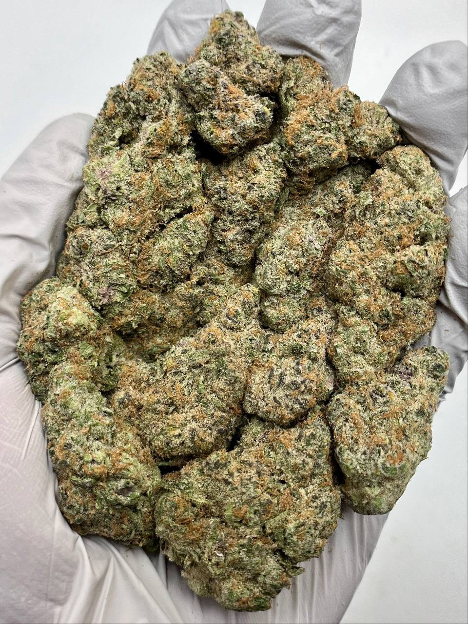 Super Boof THCa Flower 1 Super Boof THCa Flower dense buds with vibrant orange hairs