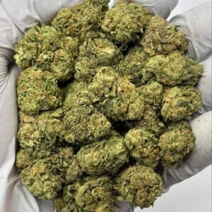 The Glove THCa Flower dense nugs with deep green hues and frosty coating