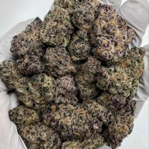 Blockberry THCa Flower Close-Up – Premium Bulk Cannabis Strain