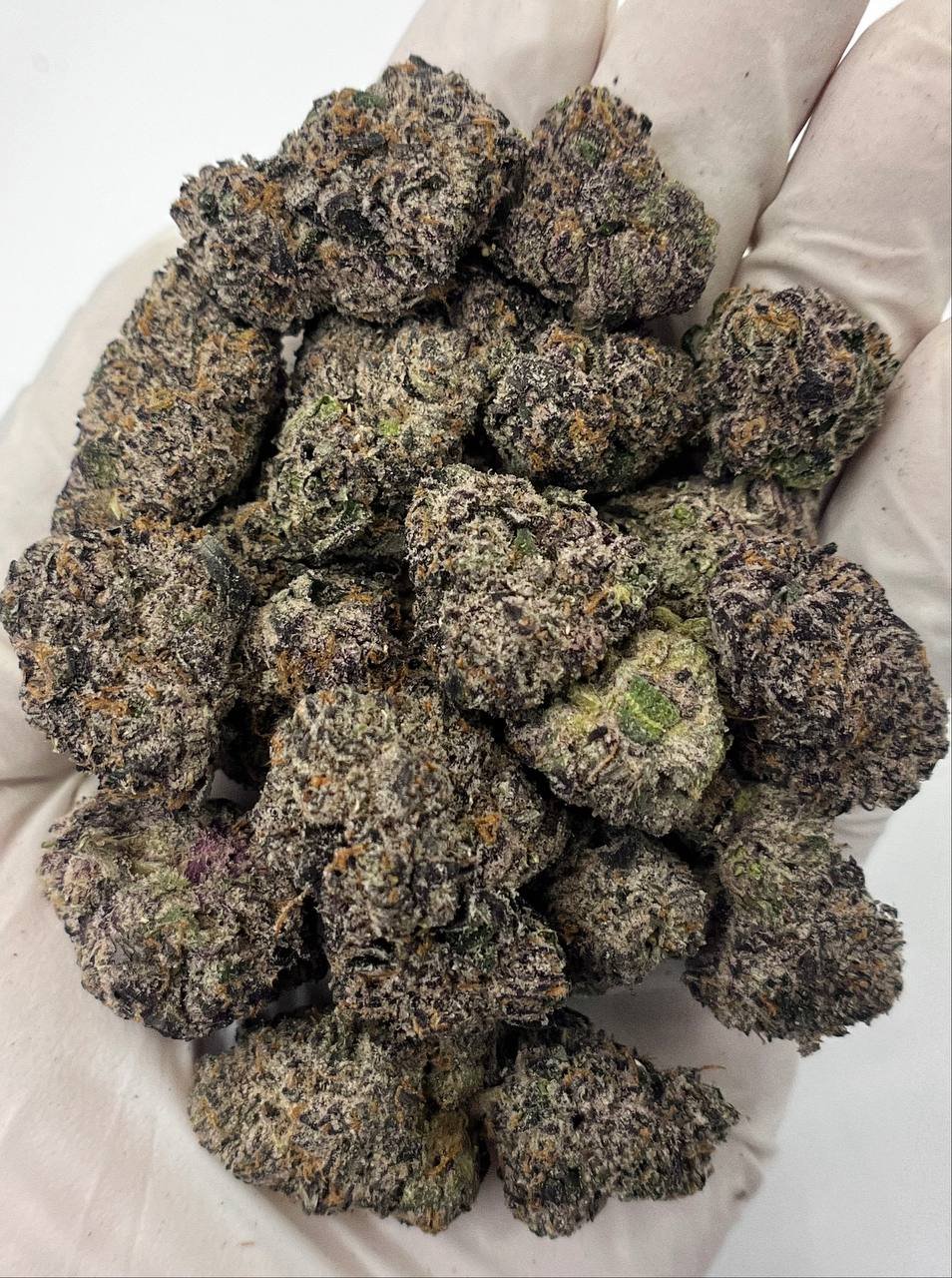 Crunch Berriez THCa Flower 1 Crunch Berriez THCa Flower Wholesale Bulk Packaging
