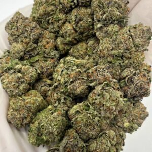 Medellin THCa Flower Close-Up – Exotic Wholesale Cannabis Bud