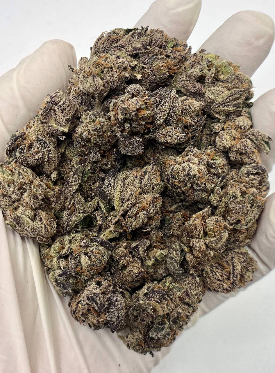 Sour Cherry Gummies THCa Flower 1 Sour Cherry Gummies THCa Flower Bulk Bag Packaging