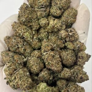Super Lemon Haze THCa Flower Close-Up – Citrusy Sativa for Wholesale