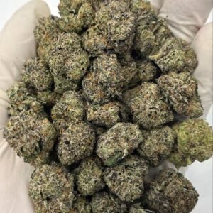 White Linen THCa Flower Buds – Premium Frosted Cannabis for Wholesale