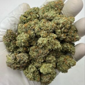 White Runtz THCa Flower Buds – Bulk Exotic Cannabis
