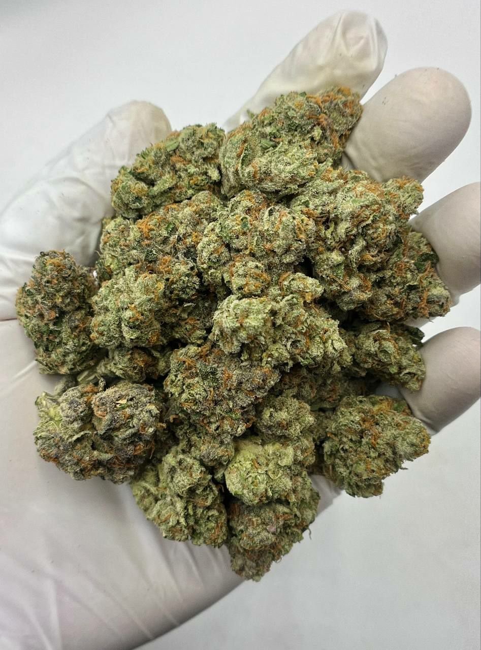 White Runtz THCa Flower 1 White Runtz THCa Flower Buds – Bulk Exotic Cannabis