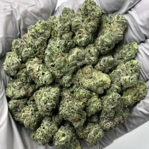 Purple Haze THCa Flower Wholesale Bulk Cannabis Hemp Buds