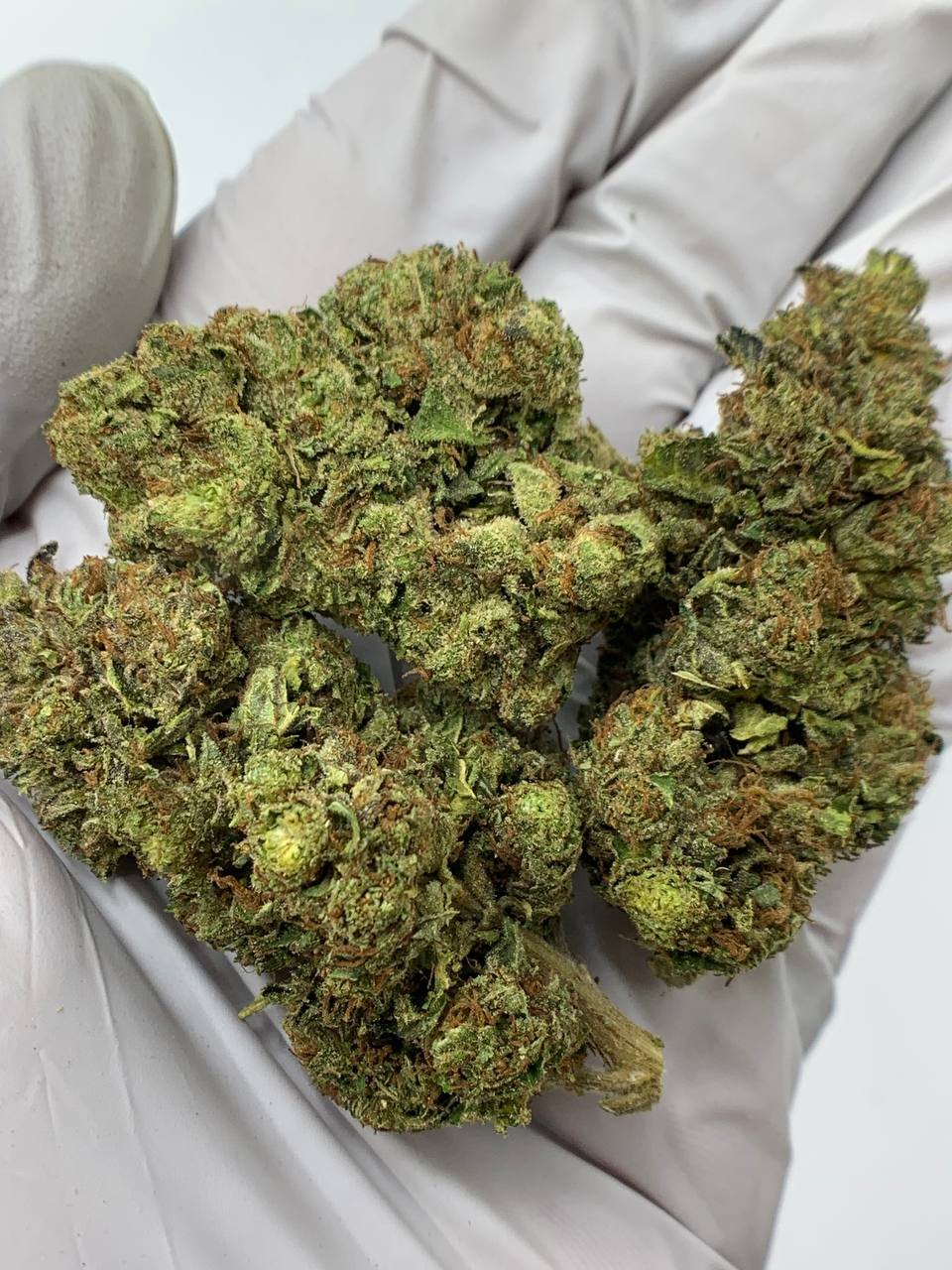 RS11 THCa Flower 1 RS11 THCa Flower – Vibrant Exotic Buds Packed with Trichomes