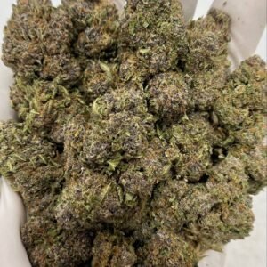 Trop Cherry THCa flower buds with vibrant colors and tropical terpene profile, packaged for wholesale buyers.