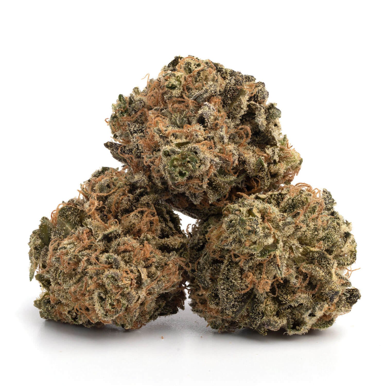 Alien Dawg 1 Alien Dawg