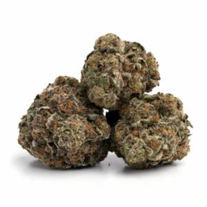 Jet Fuel Gelato