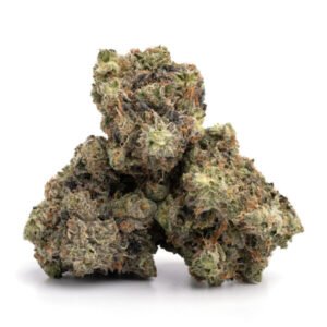 MK Ultra