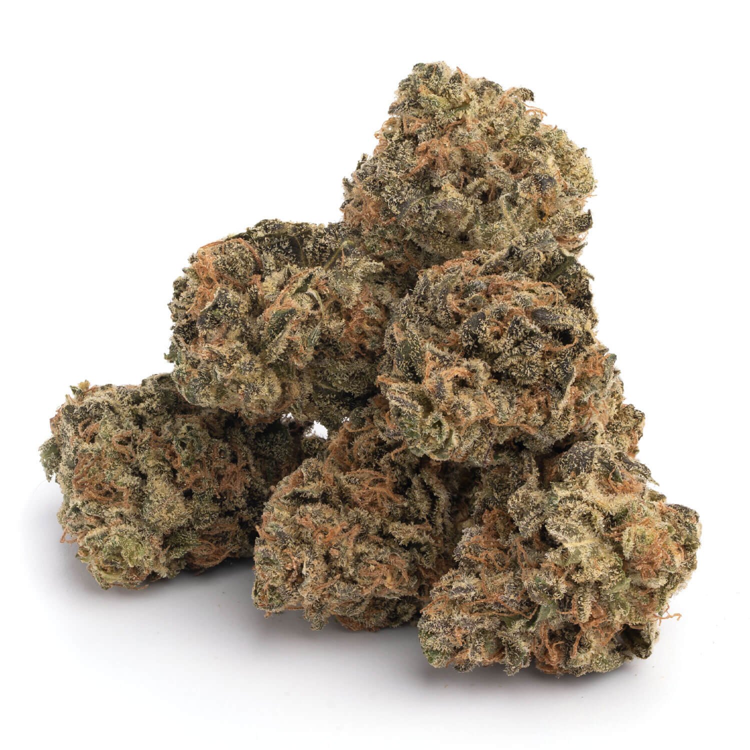 Alien Dawg 3 Alien Dawg - Image 3
