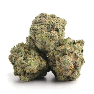 Peach Crescendo