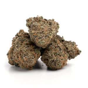 Wifi OG