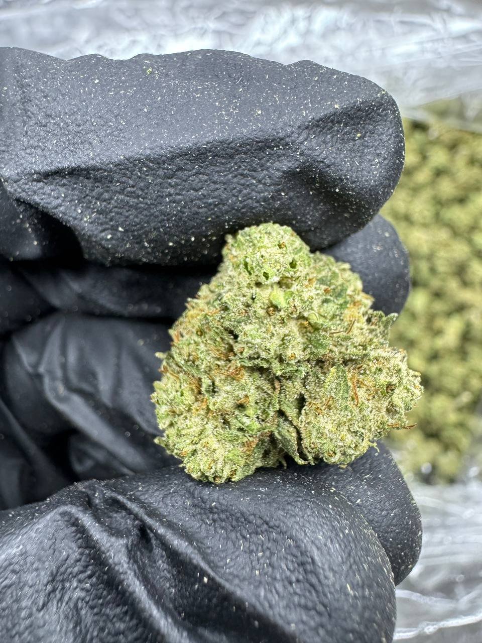 Super Boof – Bulk THCA Flower (Greenhouse Pounds) 1 Super Boof – Bulk THCA Flower (Greenhouse Pounds)