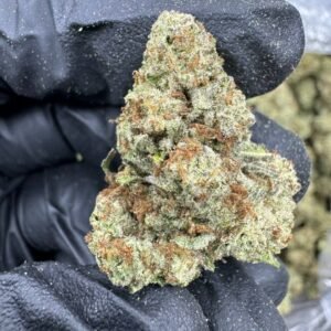 Purple Push Pop – Bulk THCA Flower
