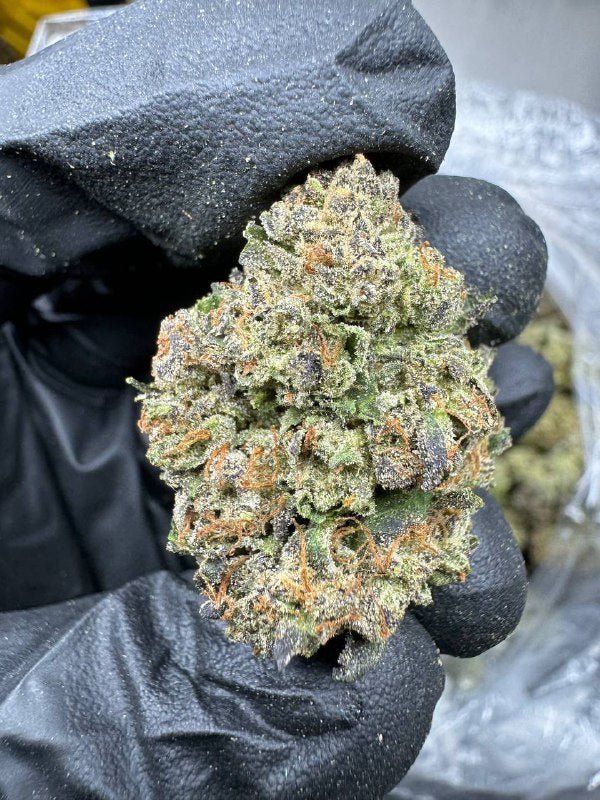 Purple Runtz – Bulk THCA Flower (Sungrown Pounds) 1 Purple Runtz – Bulk THCA Flower (Sungrown Pounds)
