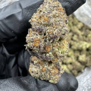 Gaz Money – Bulk THCA Flower