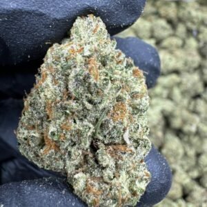 Animal Tree – Bulk THCA Flower (Greenhouse Pounds)