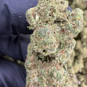AK-47 – Bulk THCA Flower (Sungrown Pounds)