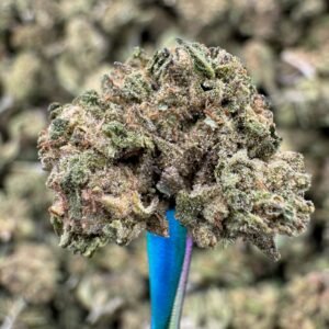 AK 47 – Bulk THCA Flower (Sungrown Pounds)
