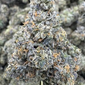 Acai Berry Gelato – Bulk THCA Flower (Indoor Pounds)