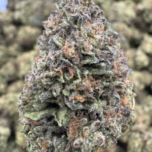 Animal Mintz – Bulk THCA Flower (Sungrown Pounds)