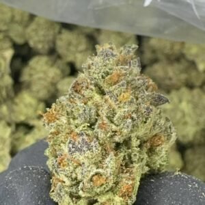 Apple Fritter – Bulk THCA Flower (Sungrown Pounds)