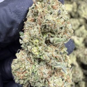 Apple Fritter – Bulk THCA Flower (Greenhouse Pounds)