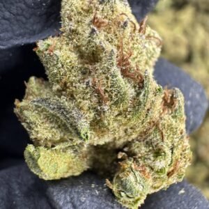 Apple Fritter – Bulk THCA Flower (Greenhouse Pounds)