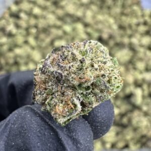 Bacio Gelato – Bulk THCA Flower (Greenhouse Pounds)