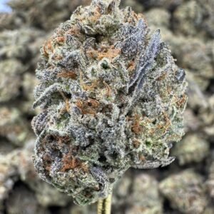 Birthday Cake – Bulk THCA Flower (Greenhouse Pounds)