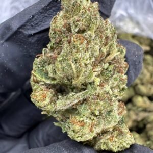 Biscotti – Bulk THCA Flower (Sungrown Pounds)