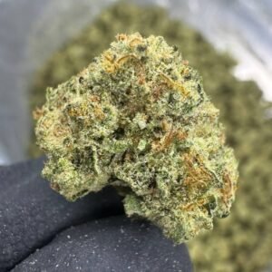 Biscotti Pancakes – Bulk THCA Flower (Greenhouse Pounds)