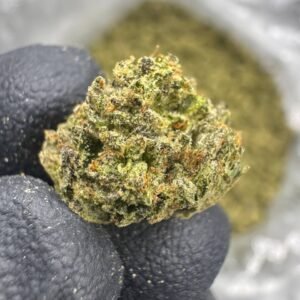 Biscotti – Bulk THCA Flower (Greenhouse Pounds)