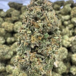 Biscotti – Bulk THCA Flower (Greenhouse Pounds)