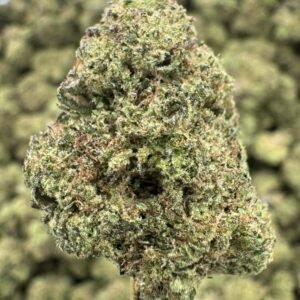 Black Amber – Bulk THCA Flower (Greenhouse Pounds)