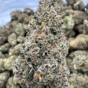 Black Cherry Funk – Bulk THCA Flower (Indoor Pounds)