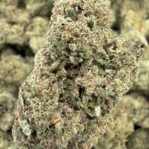 Black Cherry Gelato – Bulk THCA Flower (Indoor Pounds)