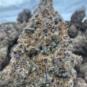Black Dolphin – Bulk THCA Flower (Indoor Pounds)