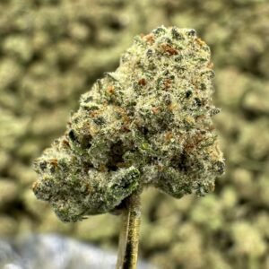 Black Ice – Bulk THCA Flower (Indoor Pounds)