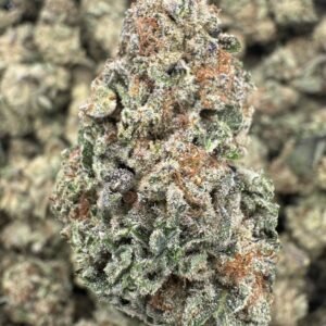 Black Runtz – Bulk THCA Flower (Greenhouse Pounds)