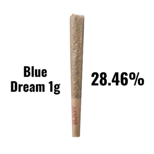 Blue Dream – Bulk THCA Prerolls
