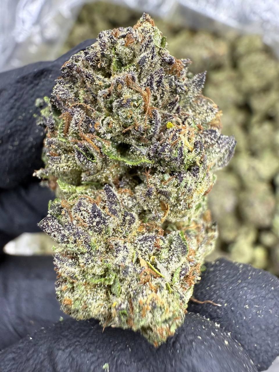 Blue Nerds – Bulk THCA Flower 1 Blue Nerds – Bulk THCA Flower