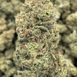 Blue Dream – Bulk THCA Flower (Greenhouse Pounds)