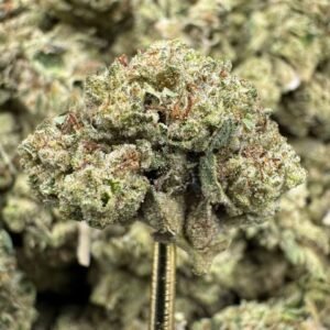 Blue Lobster – Bulk THCA Flower (Greenhouse Pounds)