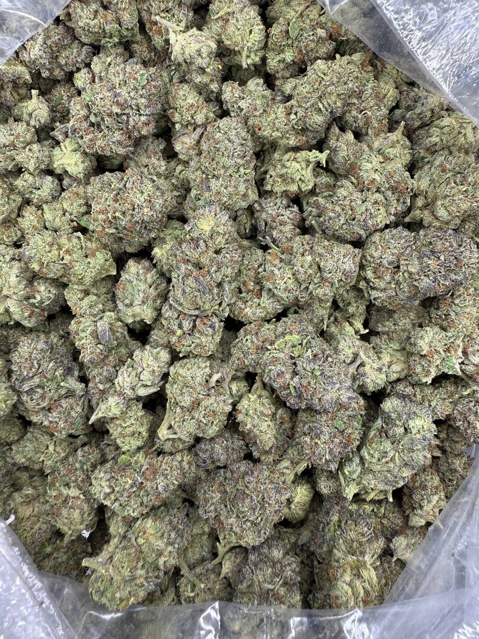Blue Nerds – Bulk THCA Flower 2 Blue Nerds – Bulk THCA Flower - Image 2